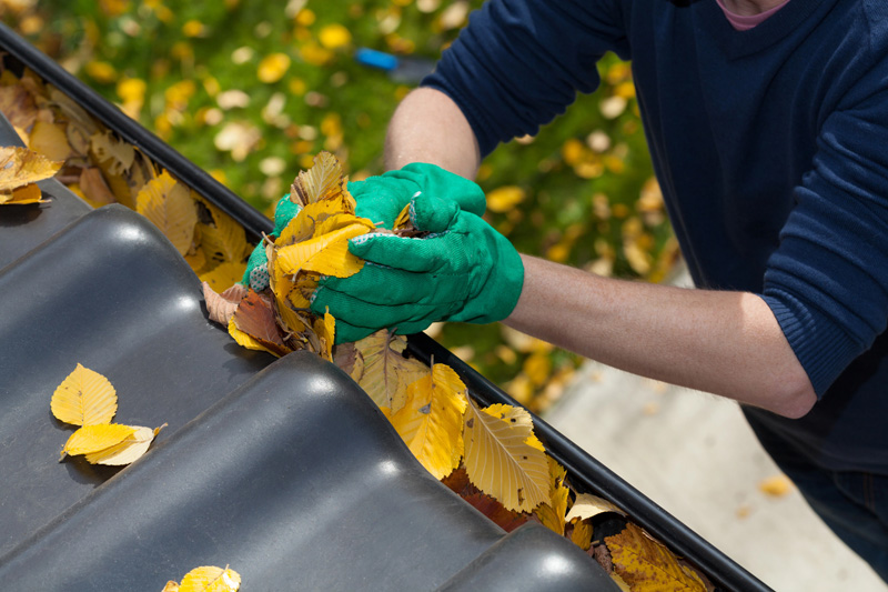 hands gathering leaves during Gutter Services for Homeowners in Hendersonville, TN